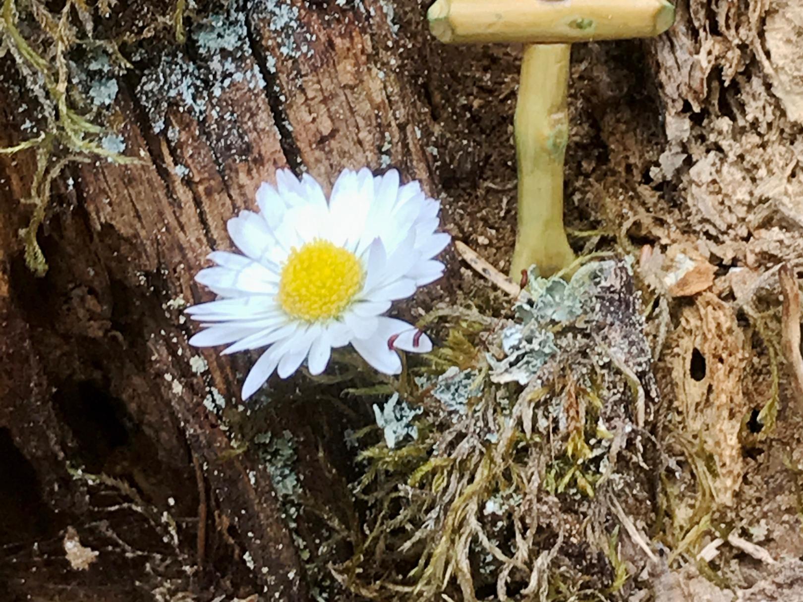 Herzlich Willkommen <br>in der GdG Hellenthal-Schleiden Herzlich Willkommen <br>in der GdG Hellenthal-Schleiden