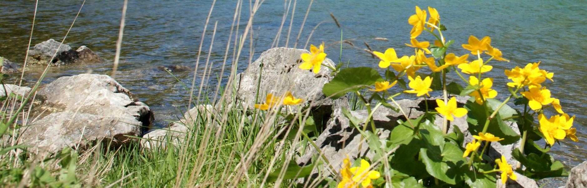 Herzlich Willkommen <br>in der GdG Hellenthal-Schleiden Herzlich Willkommen <br>in der GdG Hellenthal-Schleiden