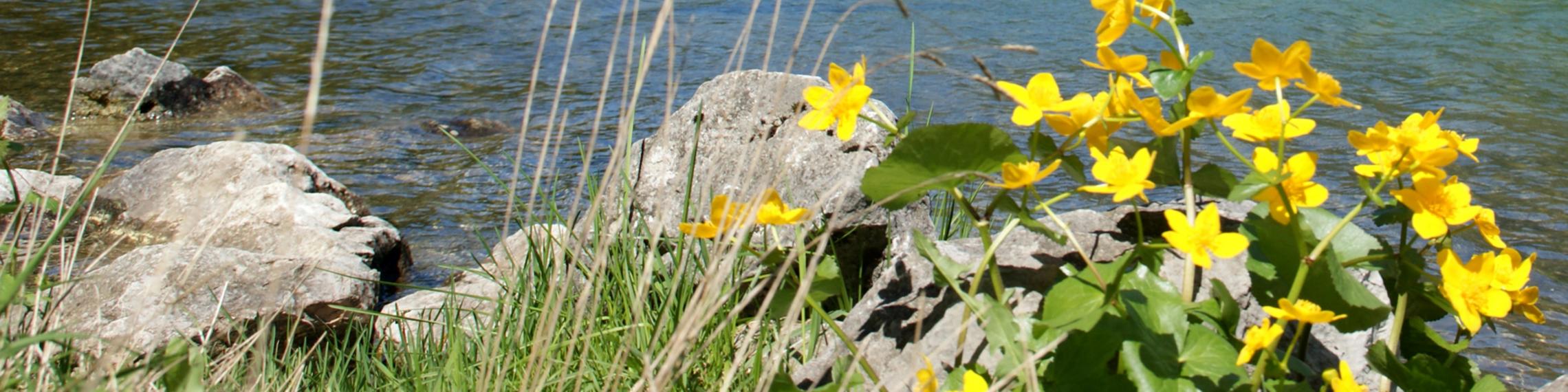 Herzlich Willkommen <br>in der GdG Hellenthal-Schleiden Herzlich Willkommen <br>in der GdG Hellenthal-Schleiden