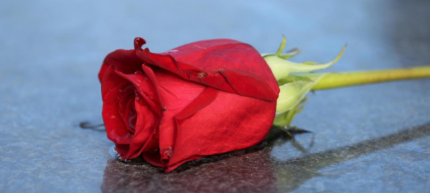Herzlich Willkommen <br>im Pastoralen Raum<br />Hellenthal-Schleiden Herzlich Willkommen <br>im Pastoralen Raum<br />Hellenthal-Schleiden