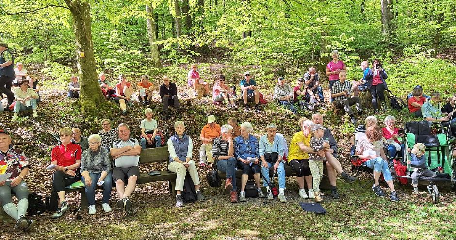 Gang zur Waldkapelle