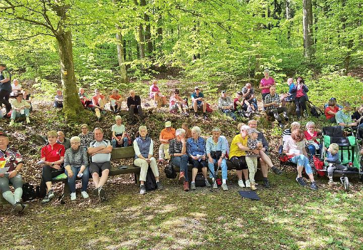 Gang zur Waldkapelle