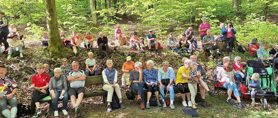 Gang zur Waldkapelle